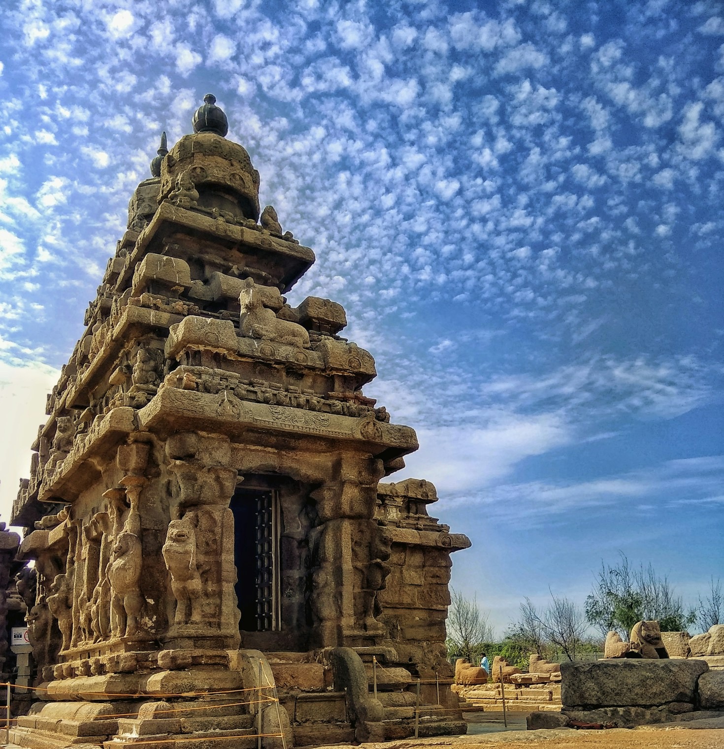 Top Tamil Festivals You Should Know